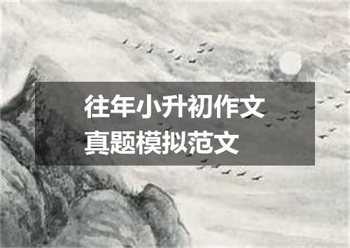 往年小升初作文真题模拟范文