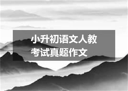 小升初语文人教考试真题作文