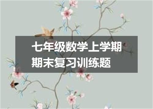 七年级数学上学期期末复习训练题