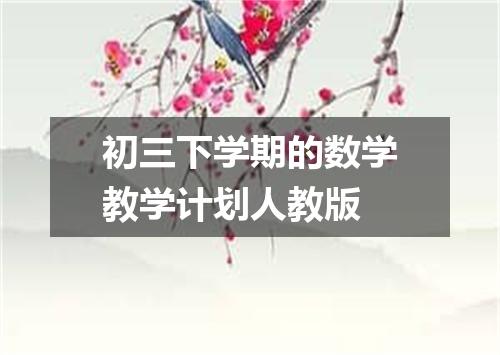 初三下学期的数学教学计划人教版