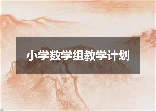 小学数学组教学计划