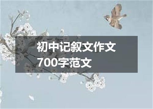 初中记叙文作文700字范文
