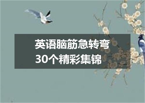 英语脑筋急转弯30个精彩集锦