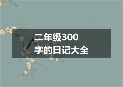 二年级300字的日记大全
