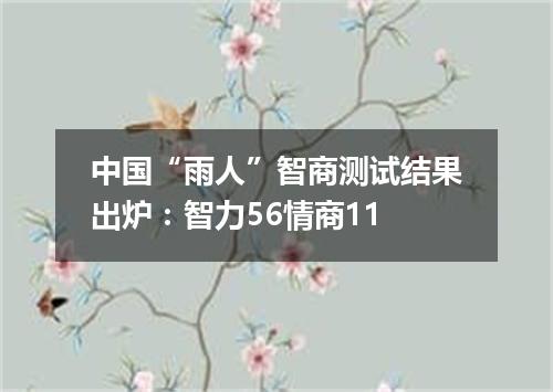中国“雨人”智商测试结果出炉：智力56情商11