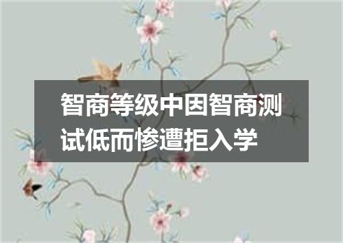 智商等级中因智商测试低而惨遭拒入学