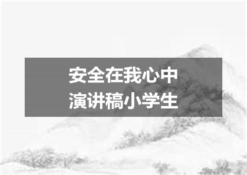 安全在我心中演讲稿小学生