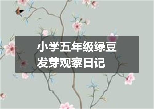 小学五年级绿豆发芽观察日记