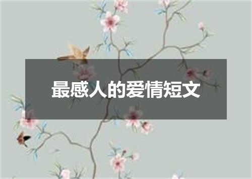 最感人的爱情短文