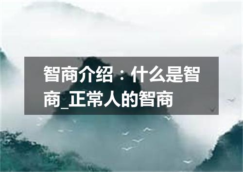 智商介绍:什么是智商_正常人的智商