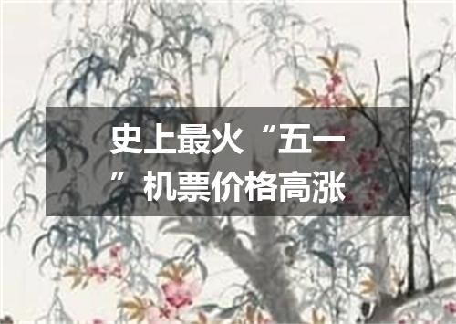 史上最火“五一”机票价格高涨