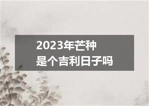 2023年芒种是个吉利日子吗