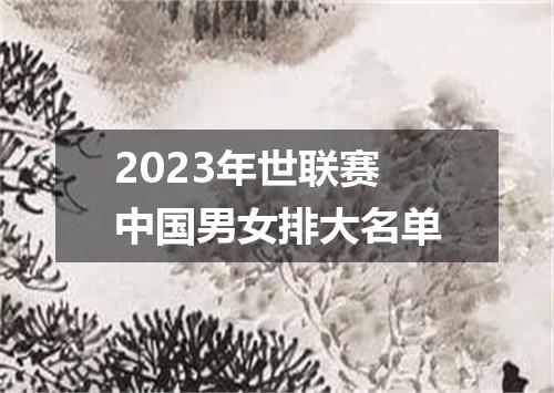 2023年世联赛中国男女排大名单