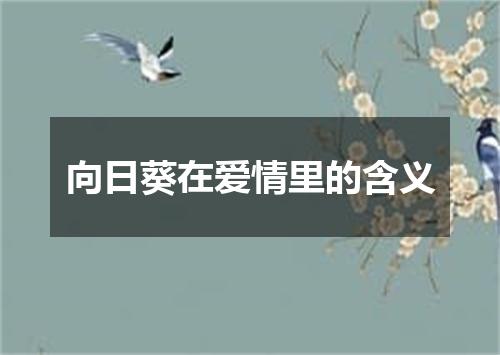 向日葵在爱情里的含义