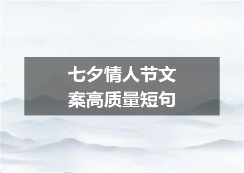 七夕情人节文案高质量短句