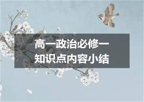 高一政治必修一知识点内容小结