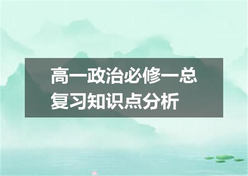 高一政治必修一总复习知识点分析