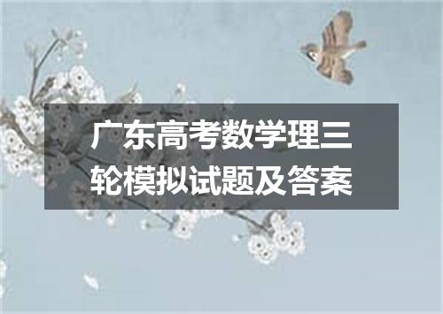 广东高考数学理三轮模拟试题及答案