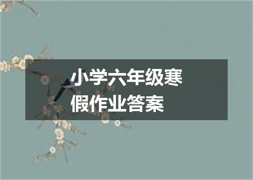 小学六年级寒假作业答案