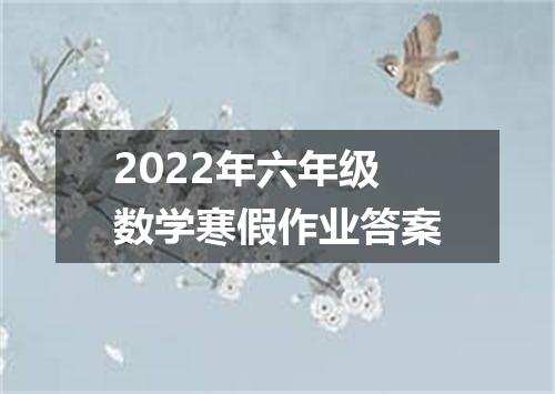 2022年六年级数学寒假作业答案