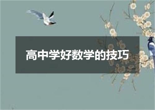 高中学好数学的技巧