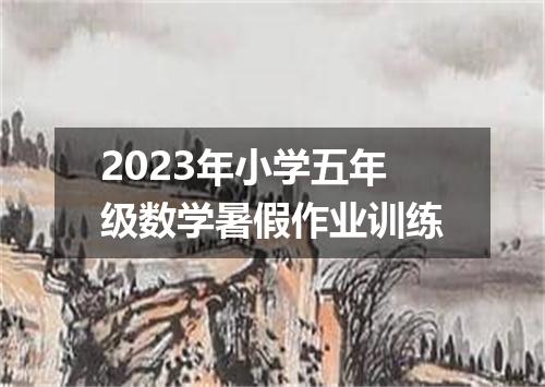 2023年小学五年级数学暑假作业训练