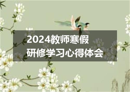 2024教师寒假研修学习心得体会