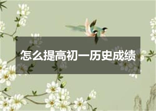 怎么提高初一历史成绩