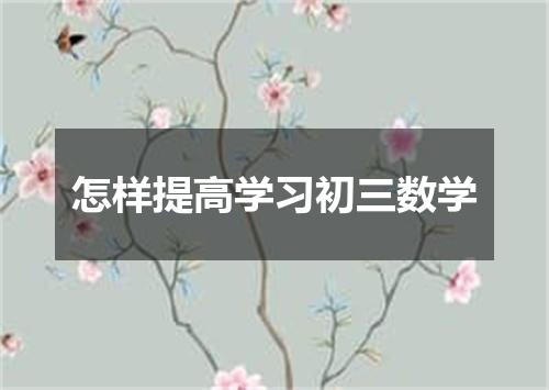 怎样提高学习初三数学