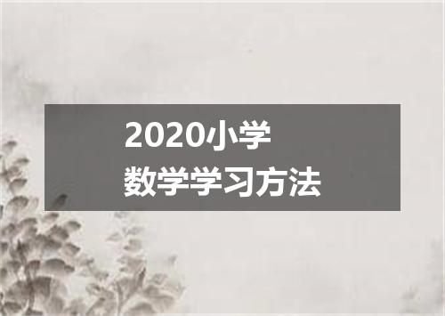 2020小学数学学习方法