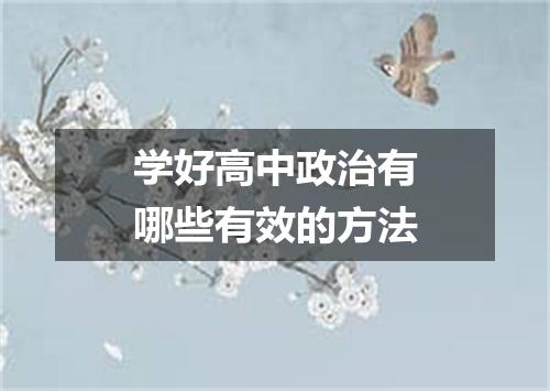 学好高中政治有哪些有效的方法