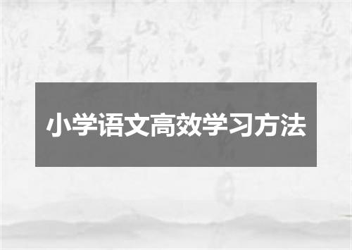 小学语文高效学习方法