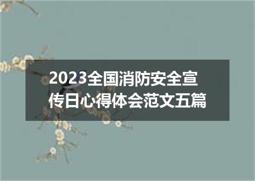 2023全国消防安全宣传日心得体会范文五篇