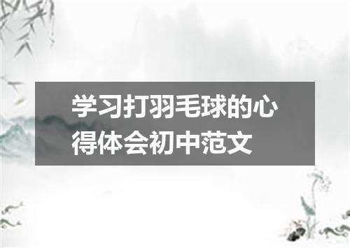 学习打羽毛球的心得体会初中范文