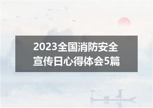 2023全国消防安全宣传日心得体会5篇