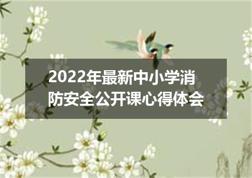 2022年最新中小学消防安全公开课心得体会