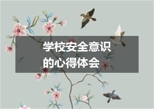 学校安全意识的心得体会