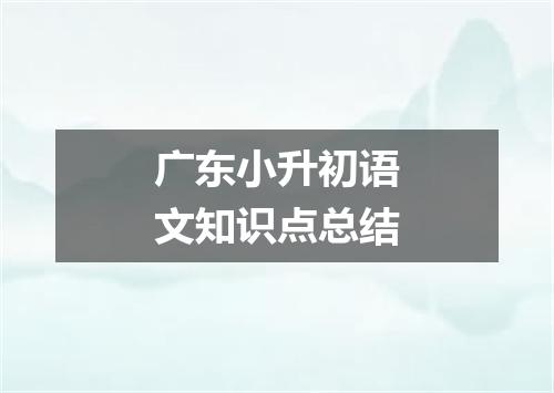 广东小升初语文知识点总结