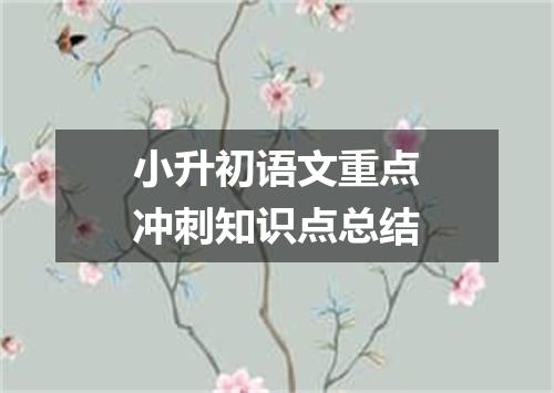 小升初语文重点冲刺知识点总结