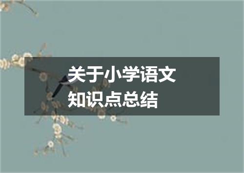关于小学语文知识点总结