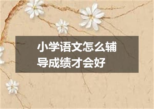 小学语文怎么辅导成绩才会好