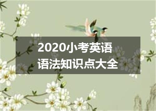 2020小考英语语法知识点大全