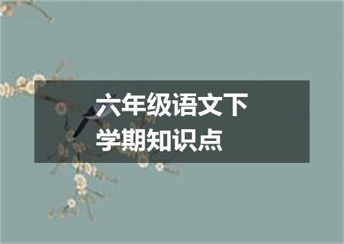 六年级语文下学期知识点