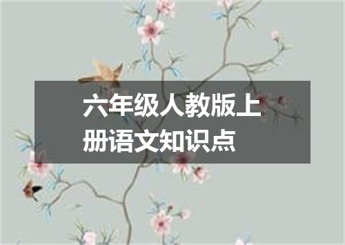 六年级人教版上册语文知识点
