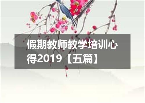 假期教师教学培训心得2019【五篇】
