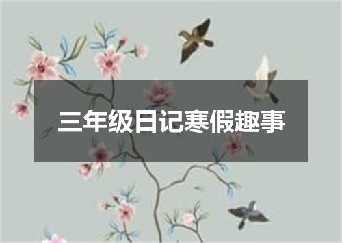三年级日记寒假趣事