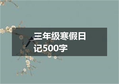 三年级寒假日记500字