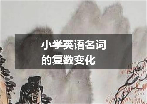 小学英语名词的复数变化