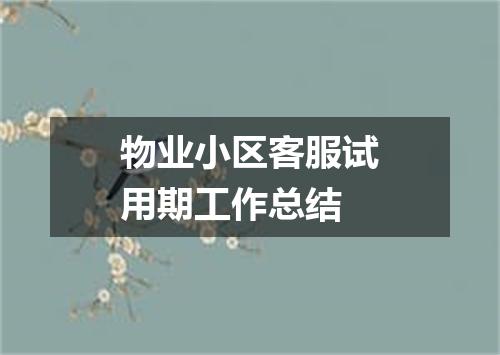 物业小区客服试用期工作总结