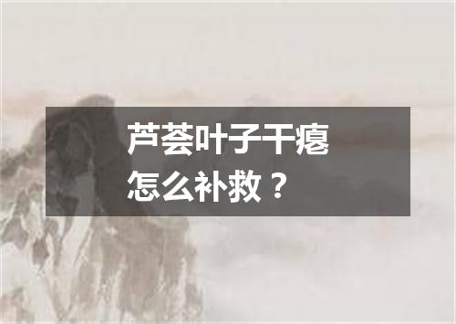 芦荟叶子干瘪怎么补救？